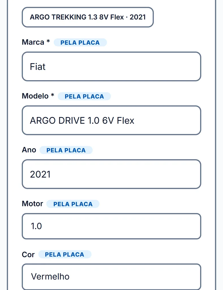 Campos do veículo preenchidos, cada um com a etiqueta azul pela placa: marca Fiat, modelo ARGO DRIVE 1.0 6V Flex, ano 2021, motor 1.0 e cor vermelho.